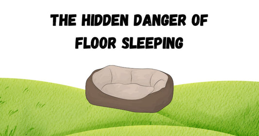 The Hidden Danger of Floor Sleeping: Why Big Dogs NEED Specialised Beds (Before It’s Too Late)
