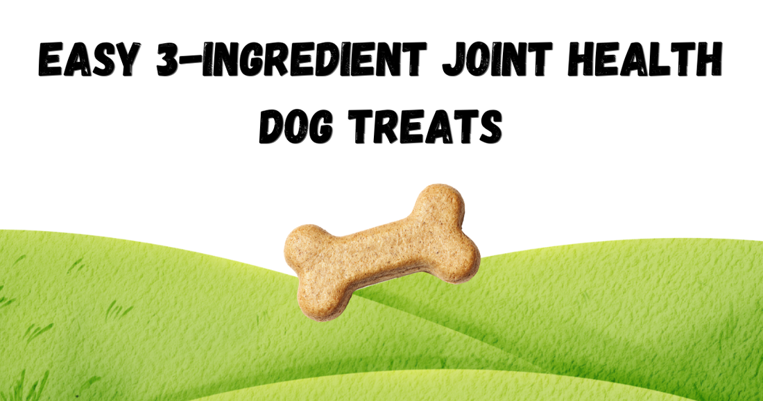 Easy 3-Ingredient Joint Health Dog Treats (With Green Lipped Mussel Powder)