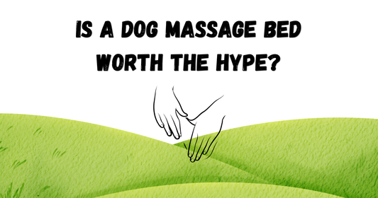 Is a Dog Massage Bed Worth the Hype? (What Every Pet Parent Needs to Know)
