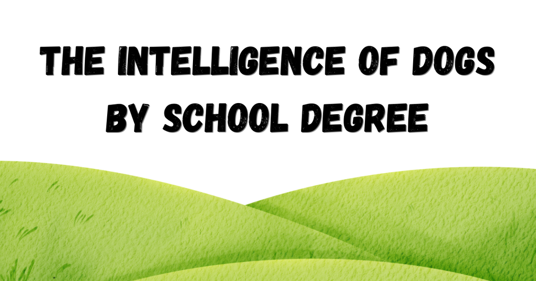 The Intelligence of Dogs By School Degree