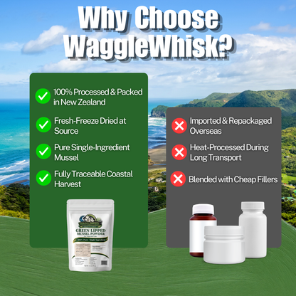 Wagglewhisk Green Lipped Mussel Powder Pet Joint Supplement – Made in New Zealand – 100% Pure Single Ingredient Dog & Cat Vitamin for Joints & Mobility, 3.5 oz (100g)