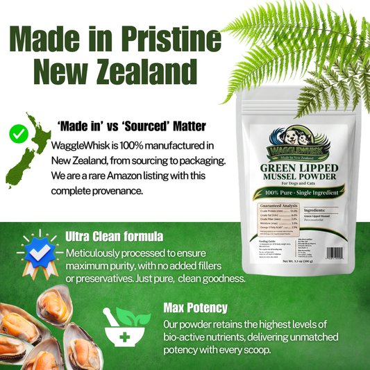 Wagglewhisk Green Lipped Mussel Powder Pet Joint Supplement – Made in New Zealand – 100% Pure Single Ingredient Dog & Cat Vitamin for Joints & Mobility, 3.5 oz (100g)